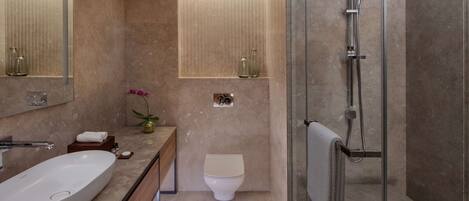 A modern bathroom with a large oval sink, a toilet, a glass-enclosed shower, and a mirror above the sink.