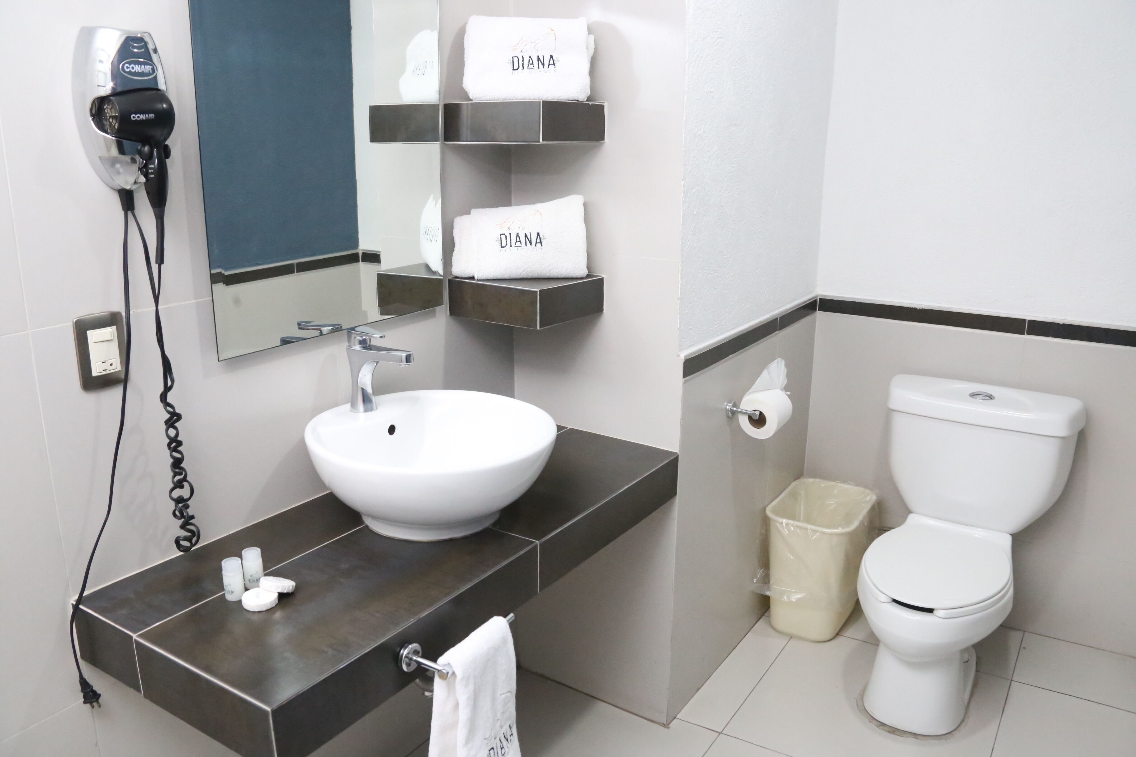 Foto - Hotel Diana del Bosque by DOT Urban