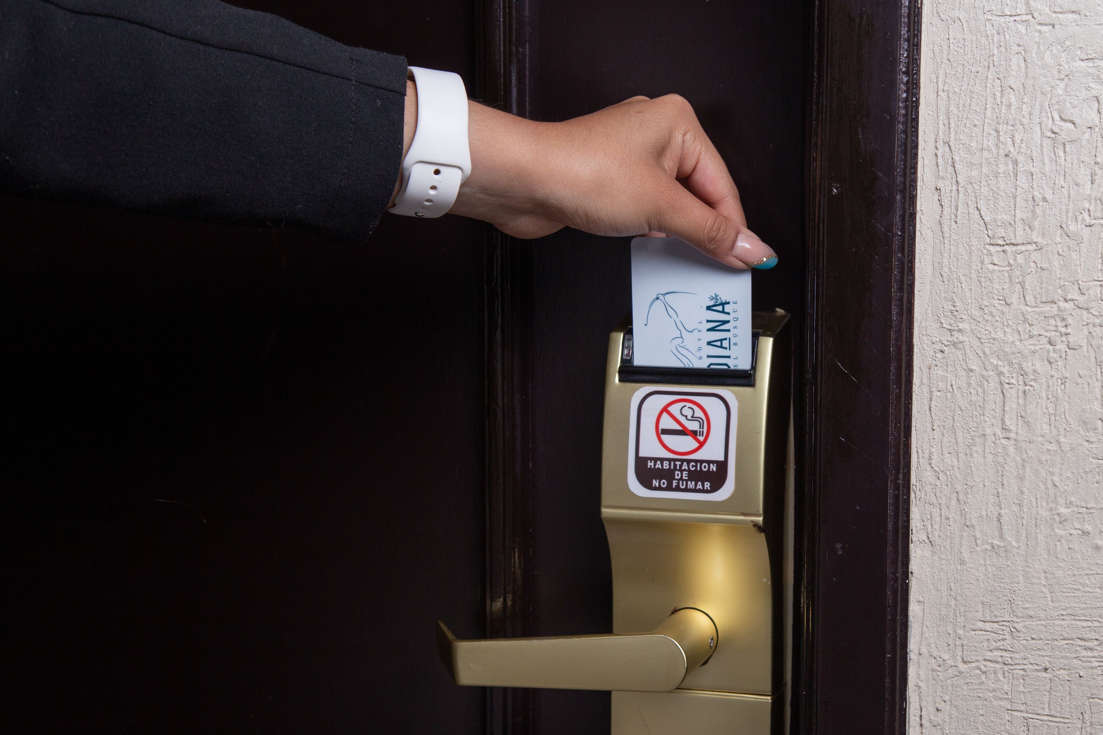 Foto - Hotel Diana del Bosque by DOT Urban