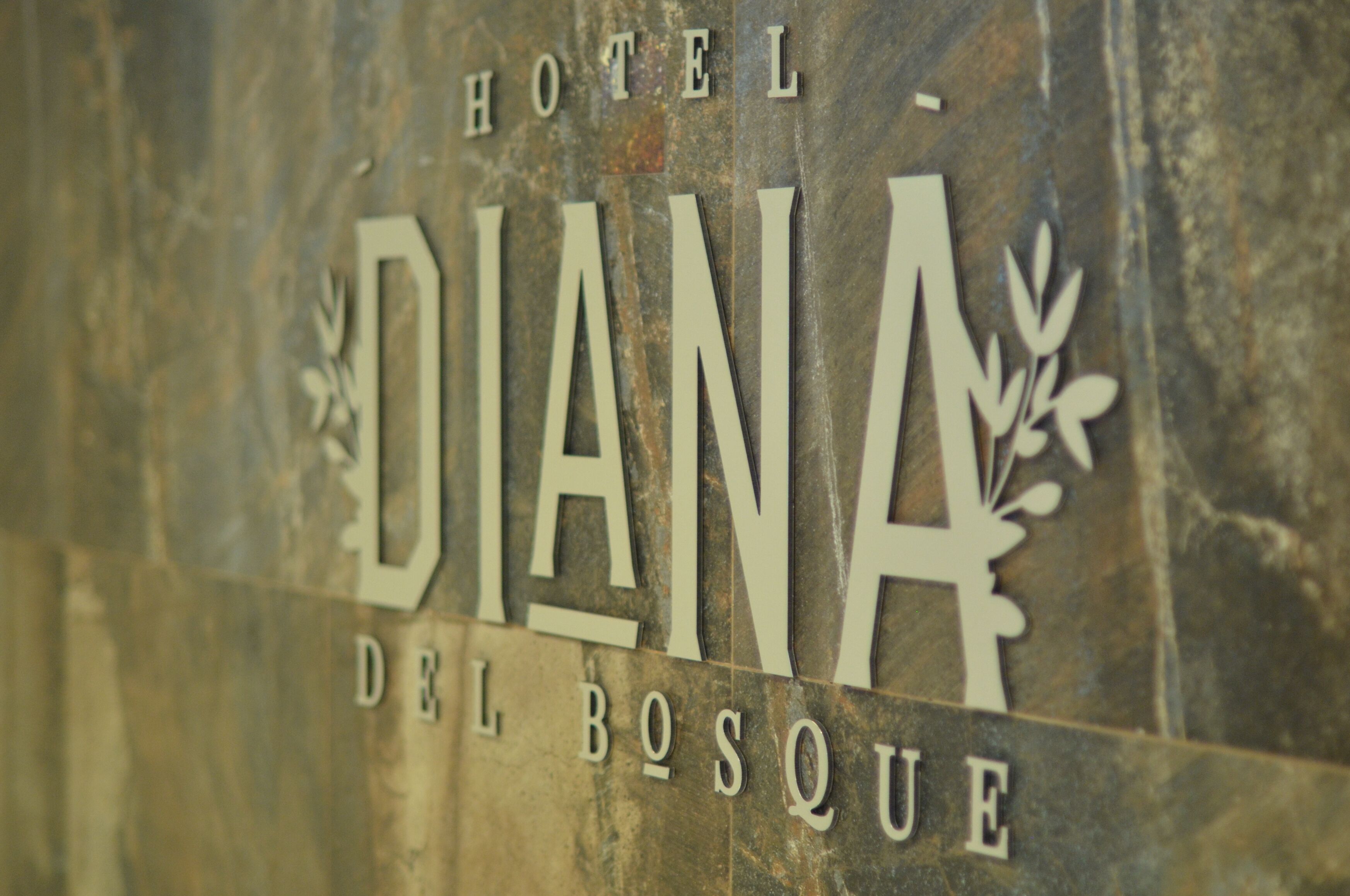 Foto - Hotel Diana del Bosque by DOT Urban