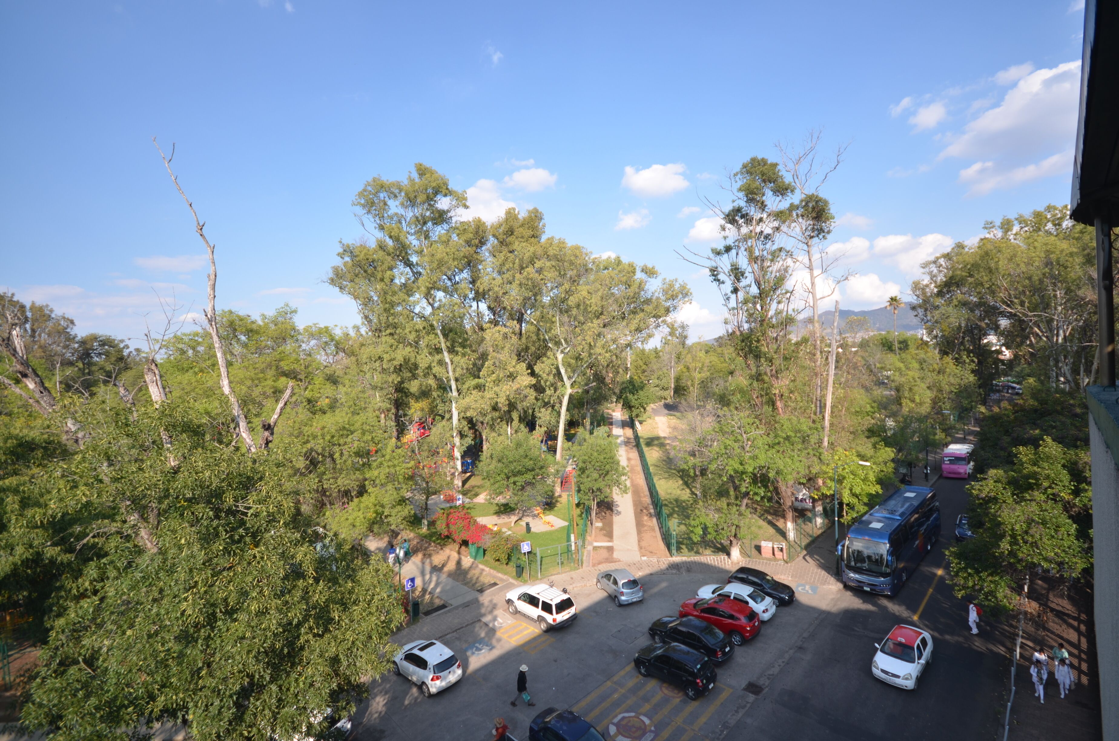 Foto - Hotel Diana del Bosque by DOT Urban