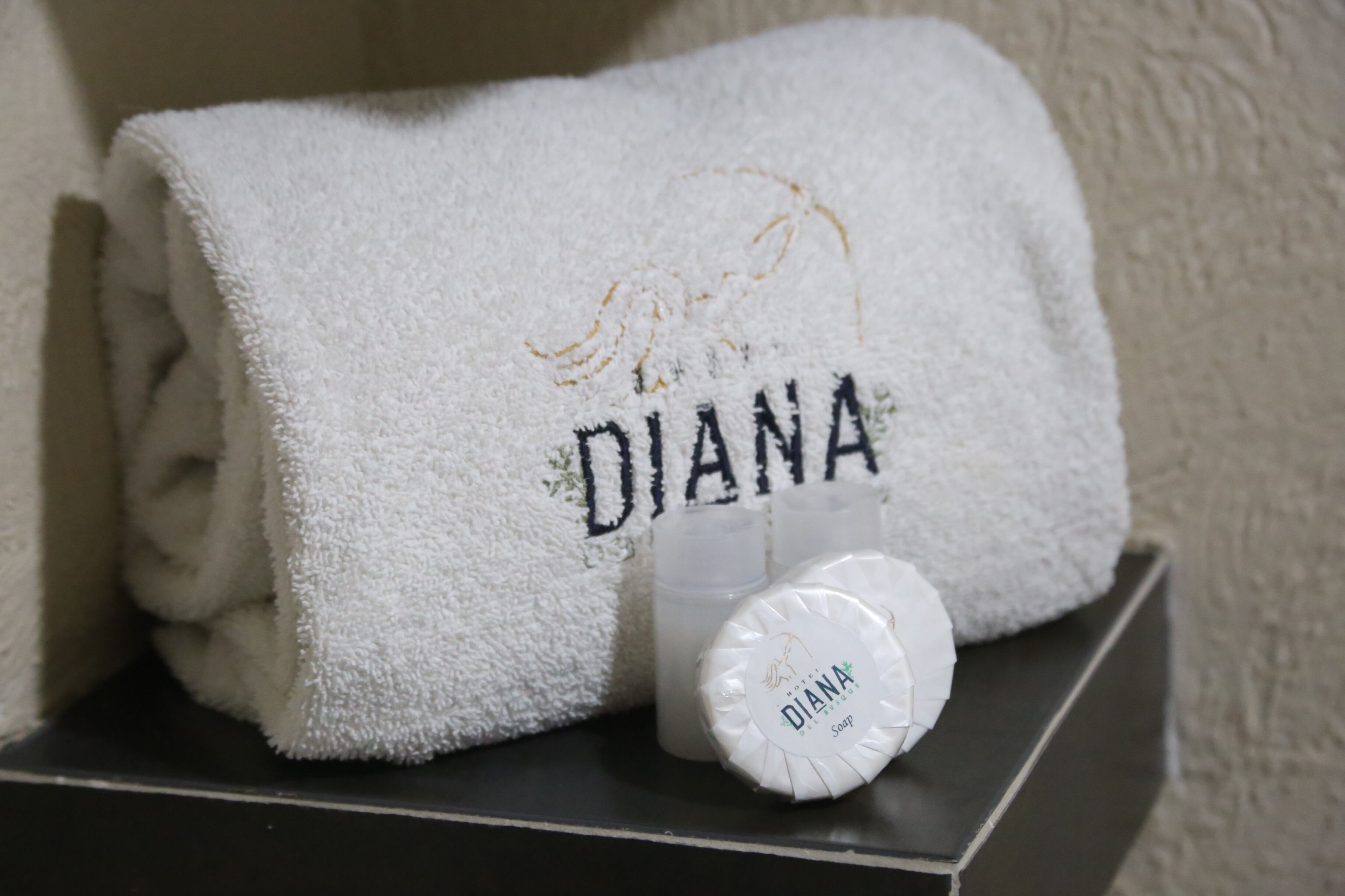 Foto - Hotel Diana del Bosque by DOT Urban