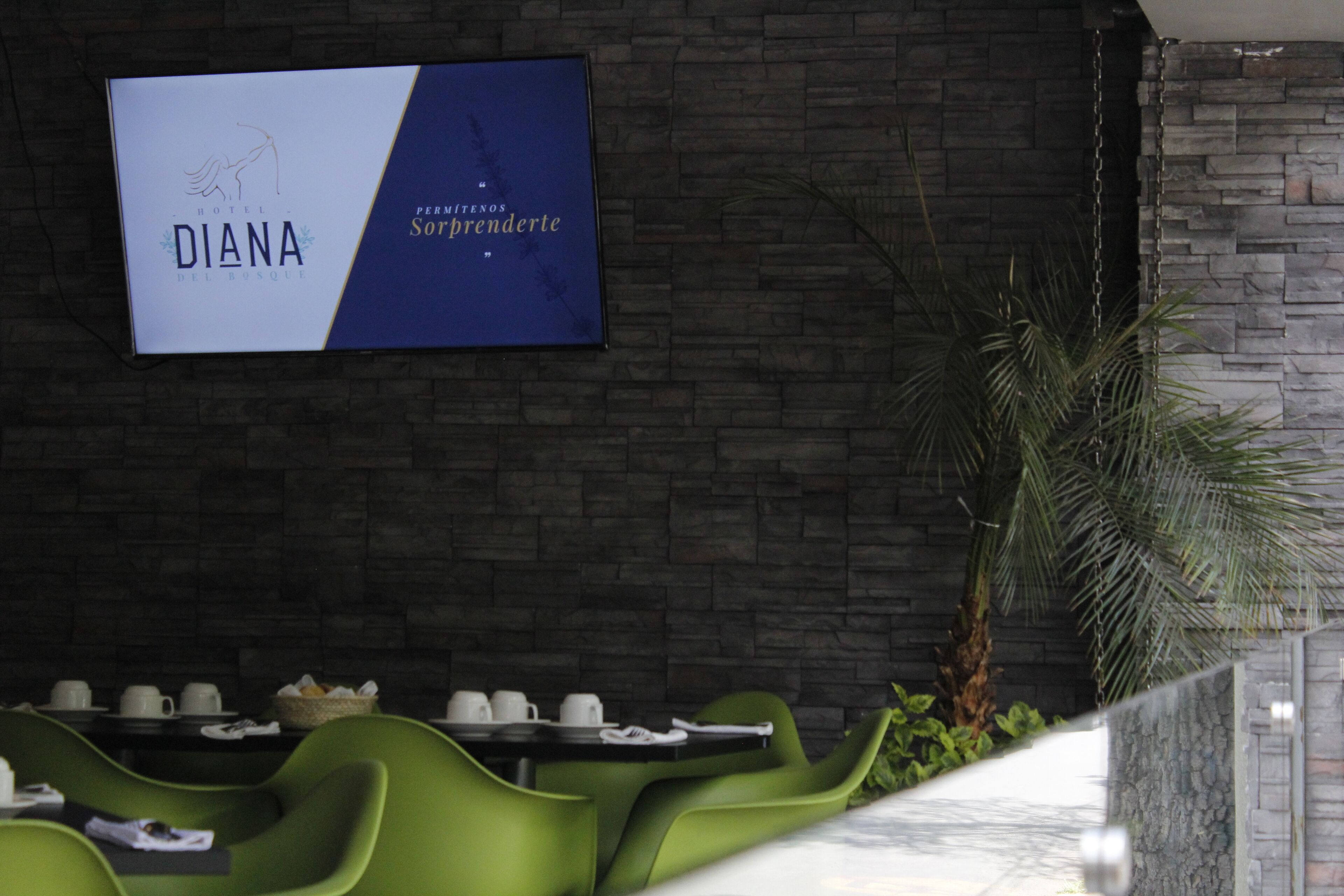 Foto - Hotel Diana del Bosque by DOT Urban