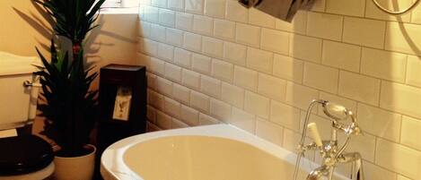 A bathroom with a bathtub, toilet, and a potted plant.