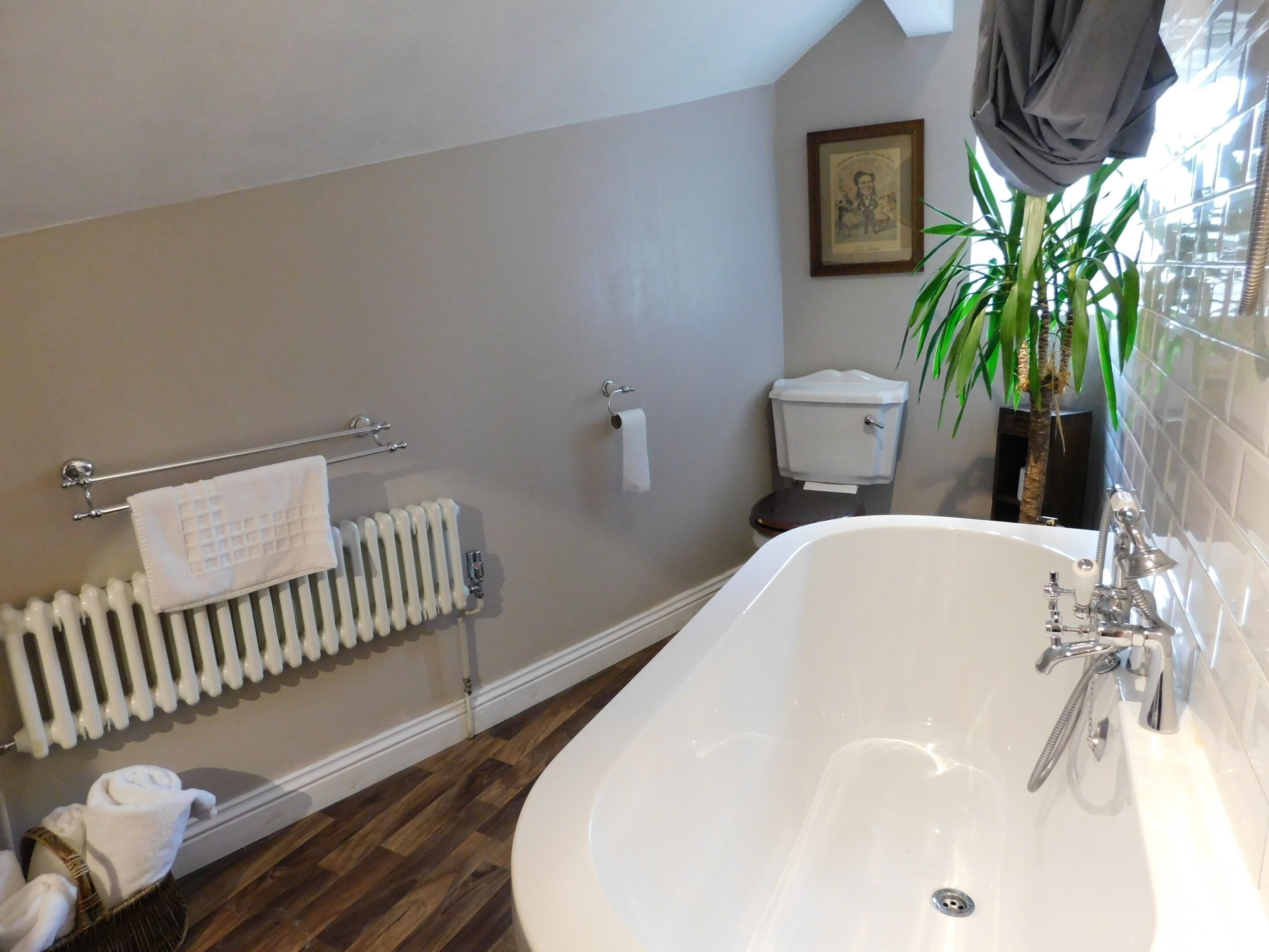 Un baño con bañera, radiador, inodoro y planta en maceta.