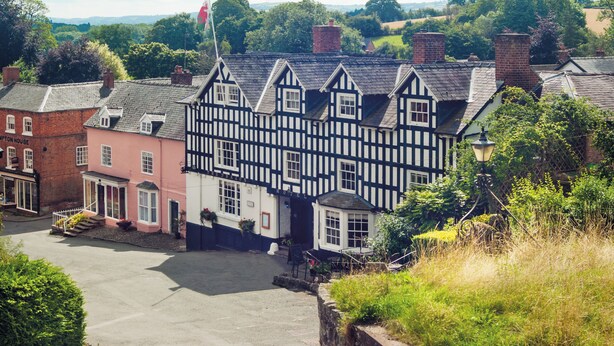 A traditional half-timbered building with a pink facade, a visible entrance, and a flag on top. - The Dragon Hotel (Montgomery)