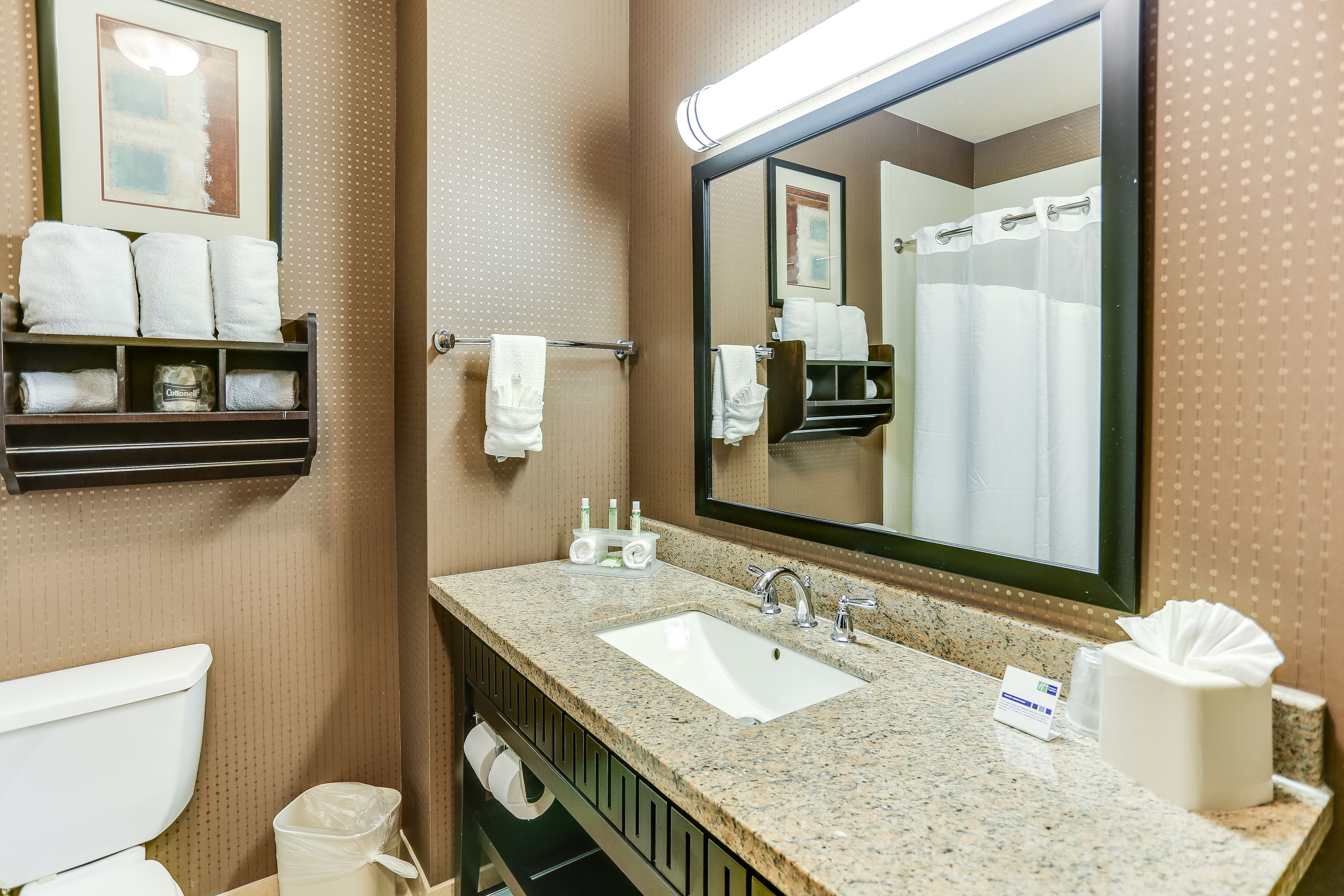 combined shower/bathtub, free toiletries, hair dryer, towels