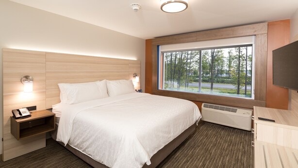 Habitación de hotel moderna con una cama grande, lámparas de noche, teléfono, ventana con vistas a árboles y televisión montada.