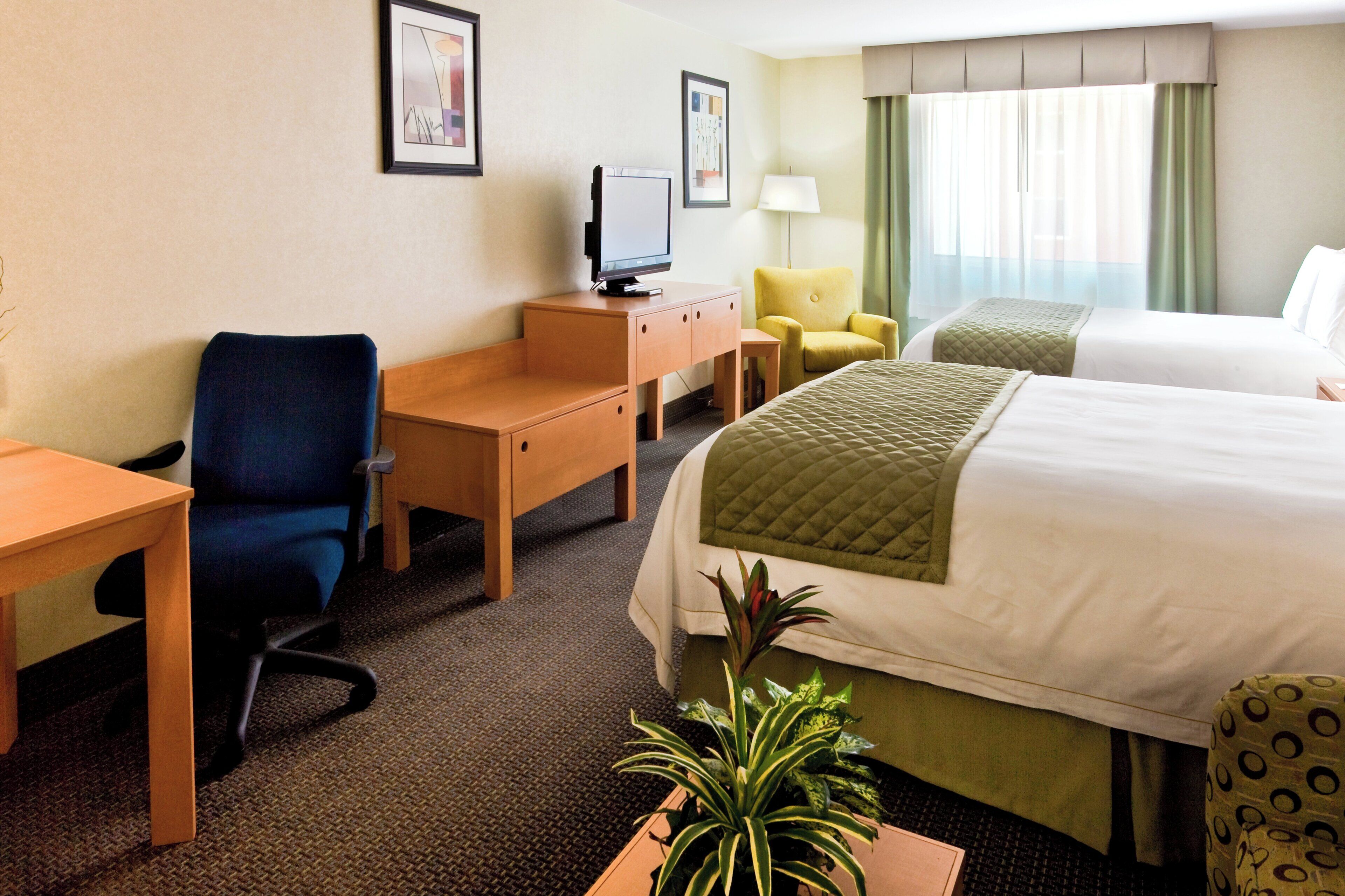 Ein Hotelzimmer mit einem Bett, einem Schreibtisch, einem Sessel, einem Fernseher und einer Pflanze.