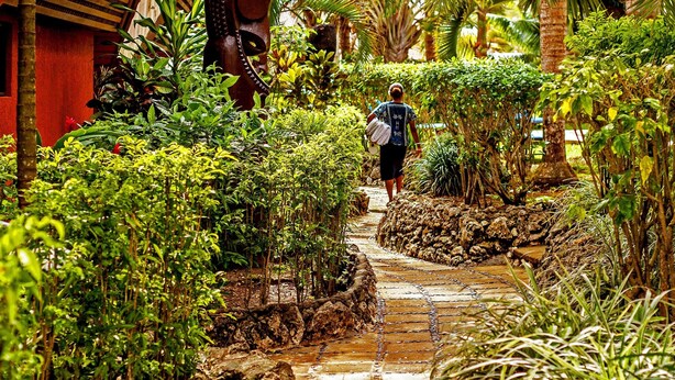 Unclassified image, 1 of 45, button - Sunset Bungalows (Port Vila)
