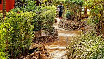 Jardin
