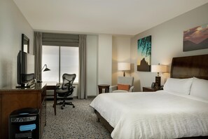 Room - Hilton Garden Inn Phoenix Airport North (Phoenix)