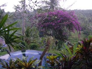 Exterior - Taman Bebek Resort & Spa (Ubud)