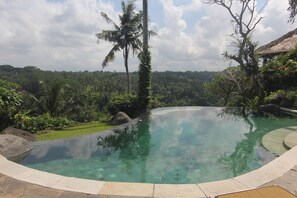 Outdoor pool, sun loungers - Taman Bebek Resort & Spa (Ubud)