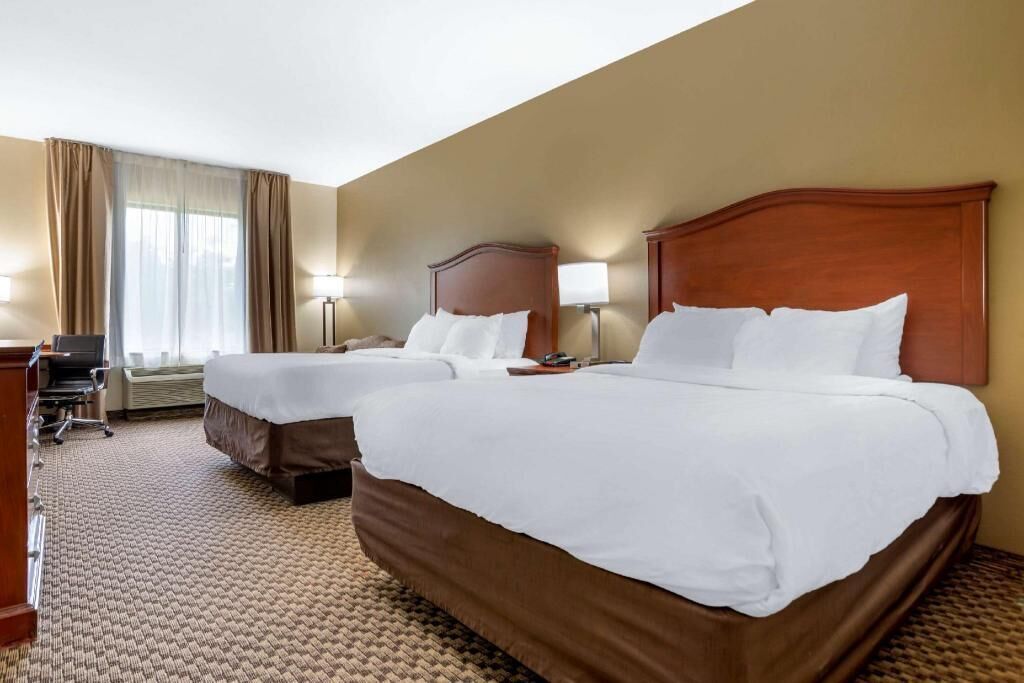 Premium bedding, pillow-top beds, in-room safe, desk