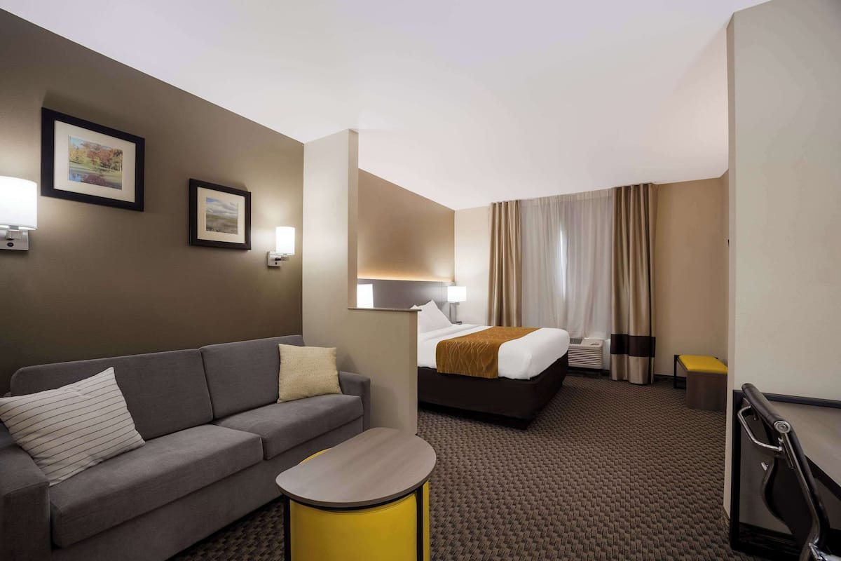 Une chambre d’hôtel avec un canapé, un lit, une petite table et une poubelle.