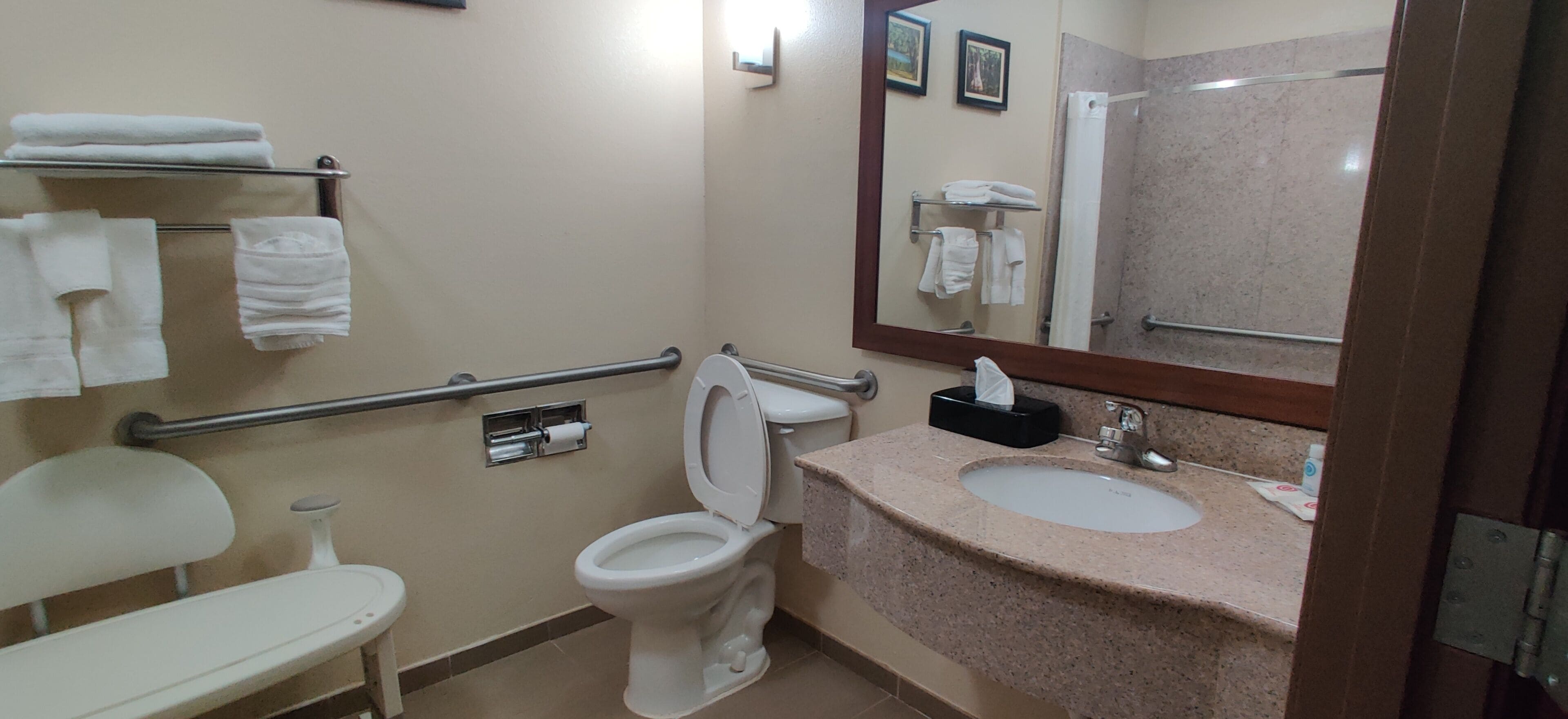 Une salle de bain équipée de toilettes, d’un lavabo et de barres d’appui. On y trouve des serviettes sur un porte-serviettes et un miroir au-dessus du lavabo.