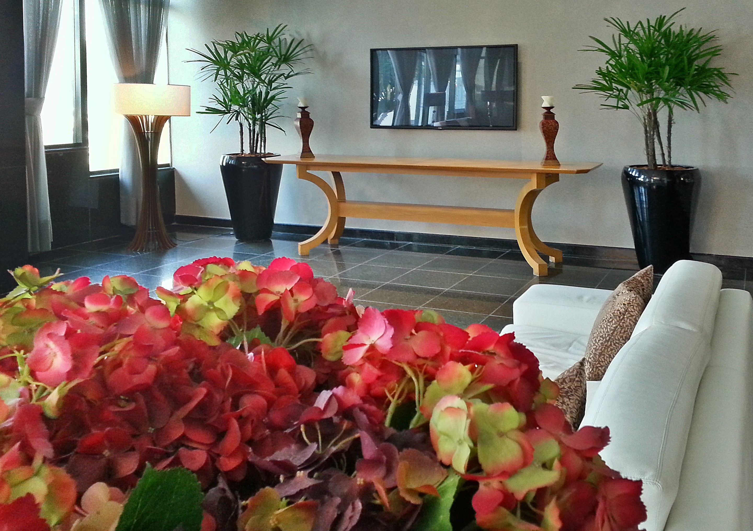 A lobby with a white sofa, a wooden bench, potted plants, and a framed picture on the wall.
