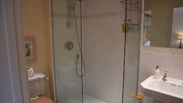 A bathroom with a glass-enclosed shower, a toilet, and a sink with a mirror above it.