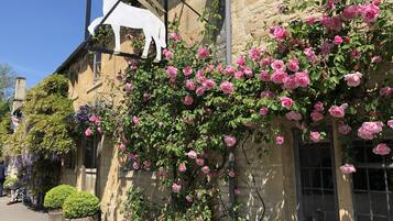 Vista frontal de la propiedad