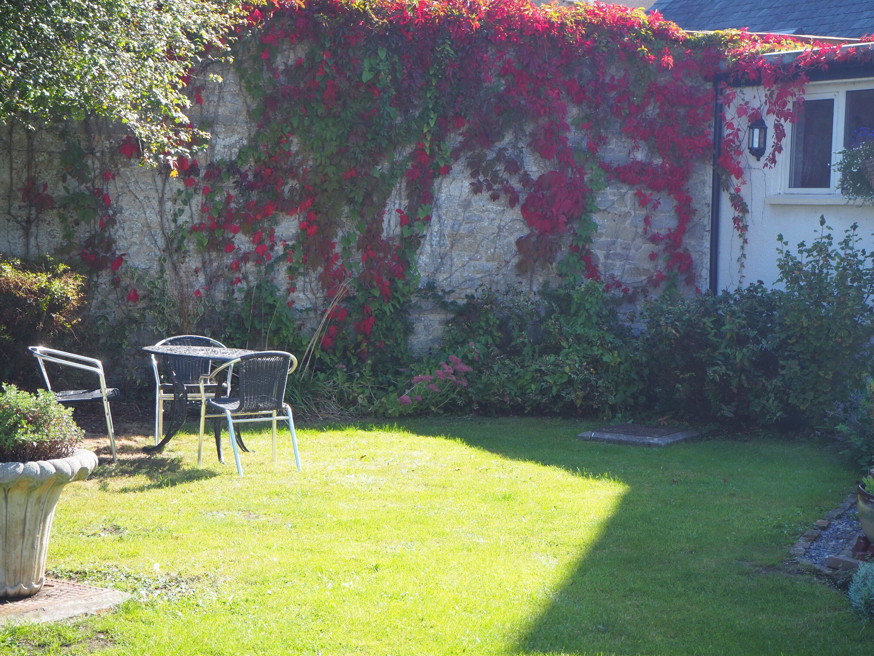 A garden with a stone wall covered in red and green foliage, a metal table and chairs, and a small window with a lantern.