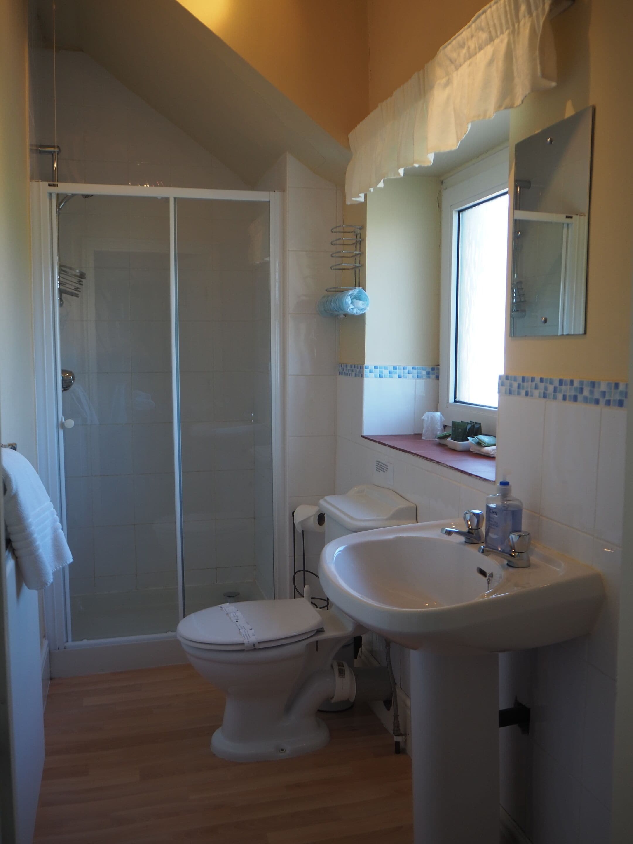 Une salle de bain avec douche, toilettes et lavabo.
