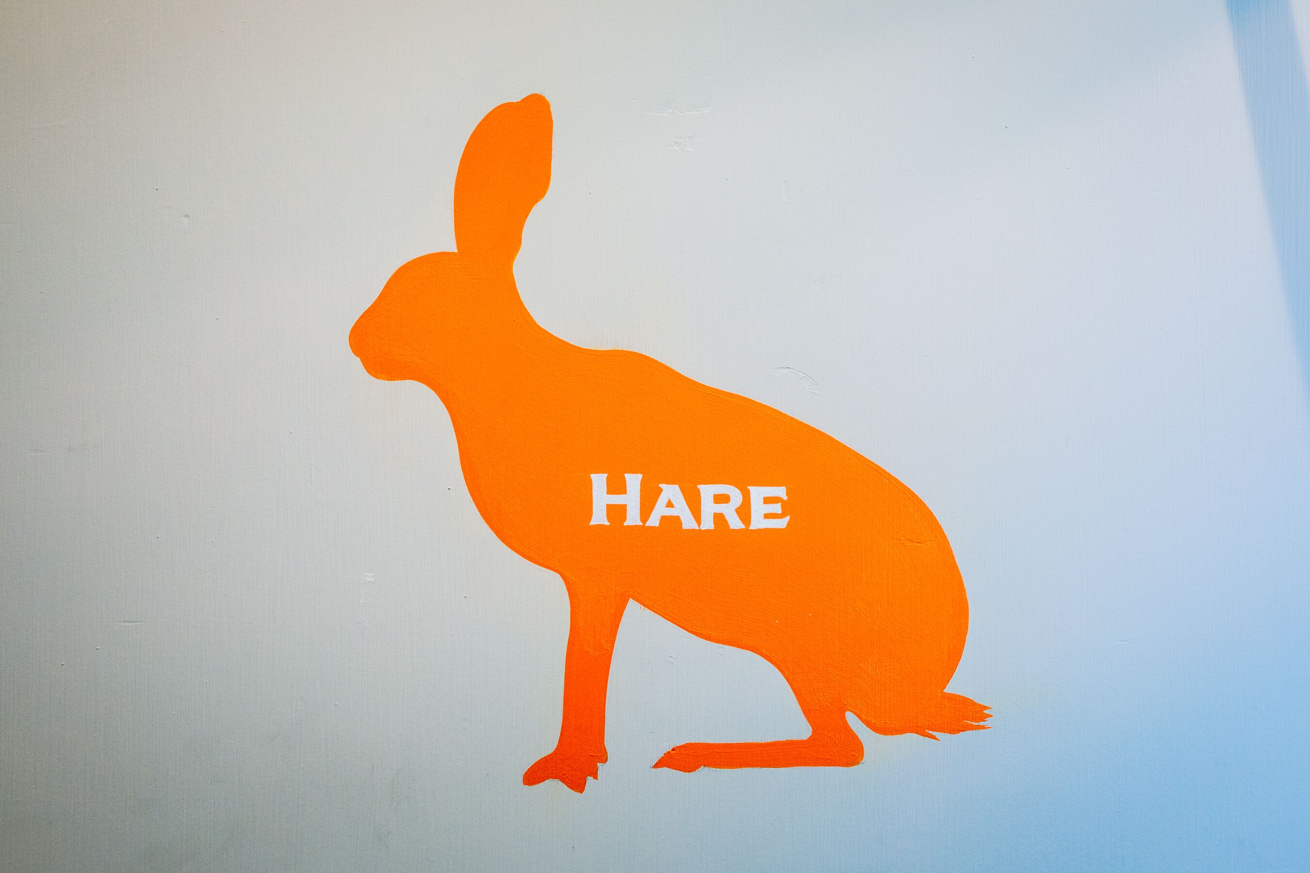 A silhouette of a rabbit with the word "HARE" on a plain background.