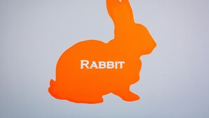 Silueta de un conejo con la palabra 'RABBIT' sobre un fondo liso.
