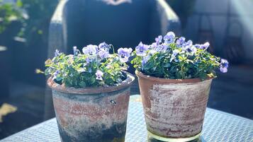 Deux plantes en pot, fleuries, sont posées sur une table.