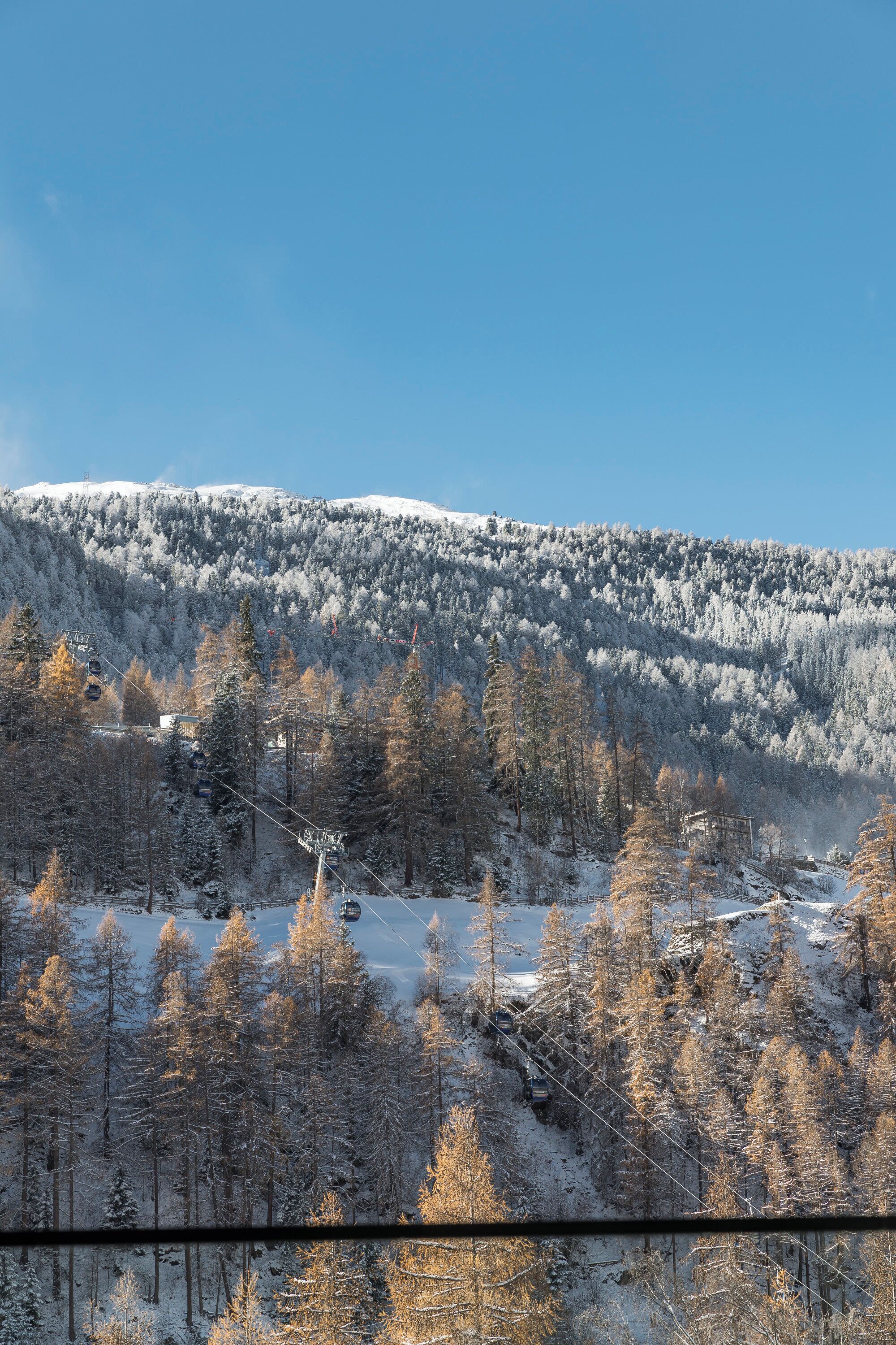 Ein mit Schnee bedeckter Berg mit einer Seilbahn und Bäumen.