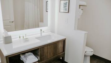 A bathroom with a white sink, wooden vanity, a large mirror, a framed picture on the wall, and a white toilet.