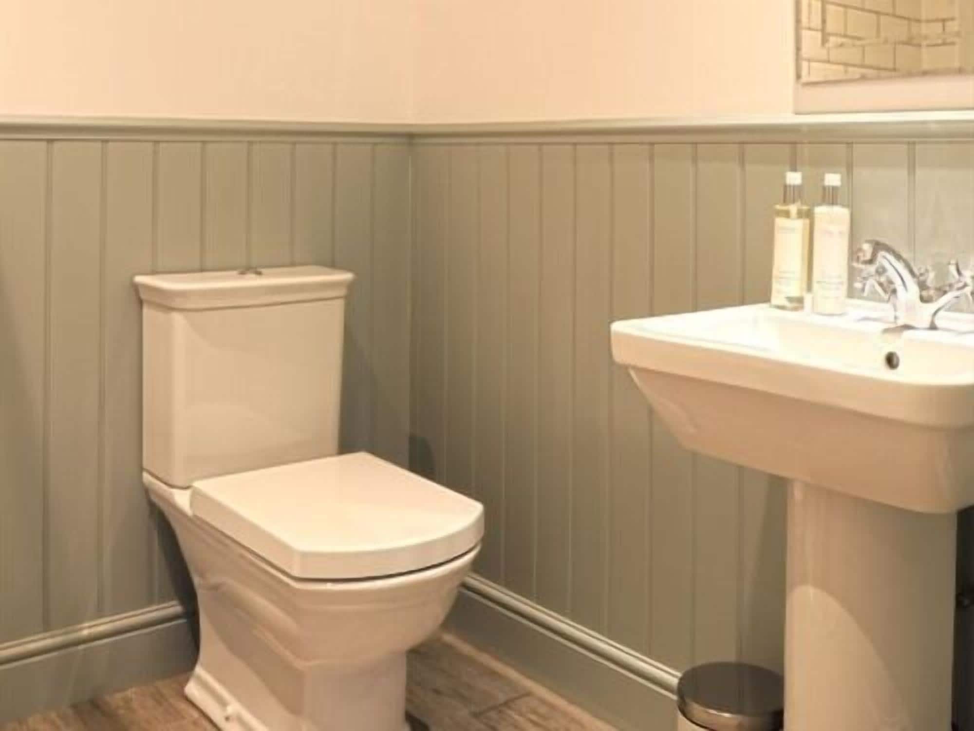 A bathroom with a toilet and a sink.