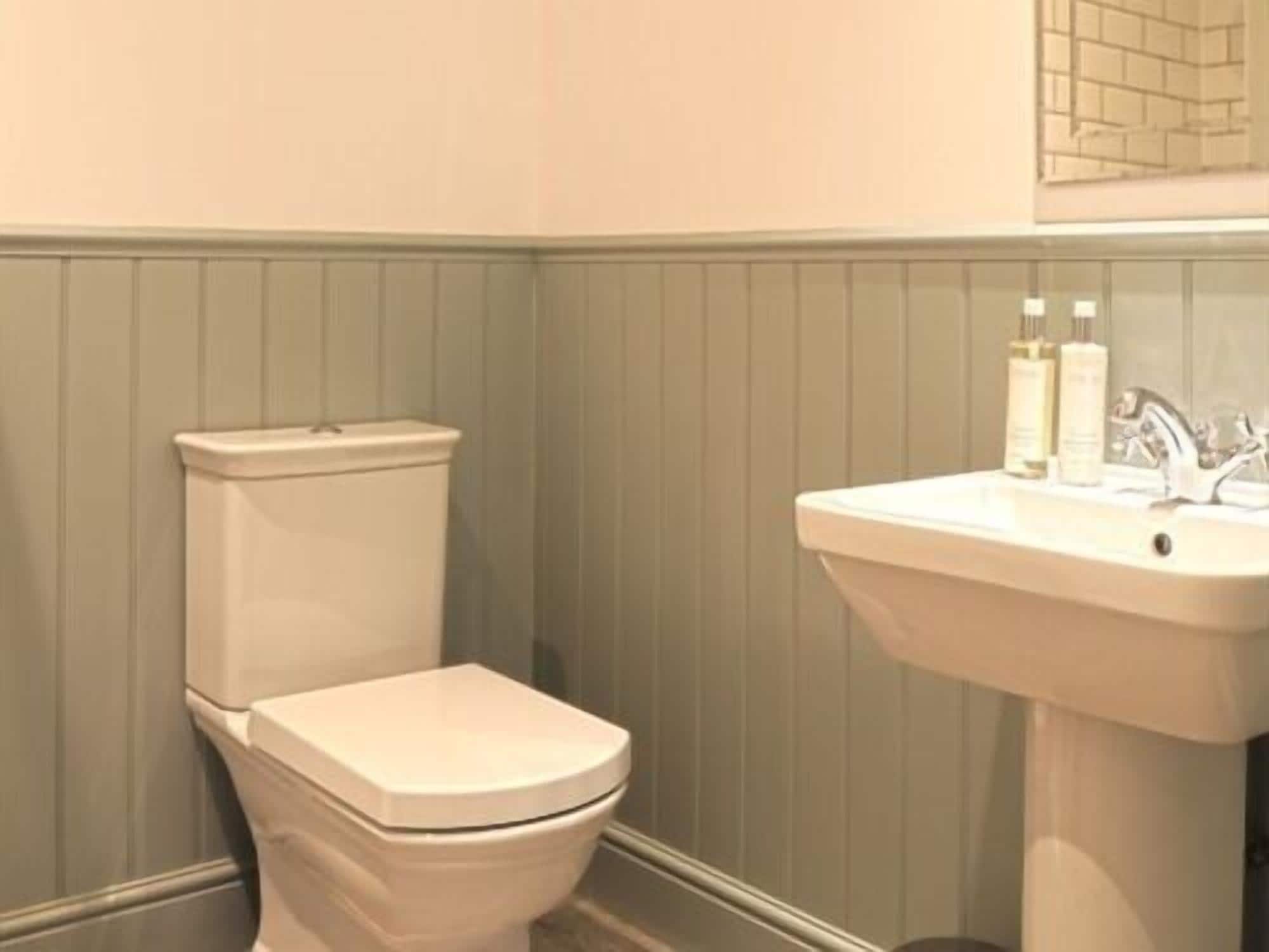 A bathroom with a toilet and a sink.