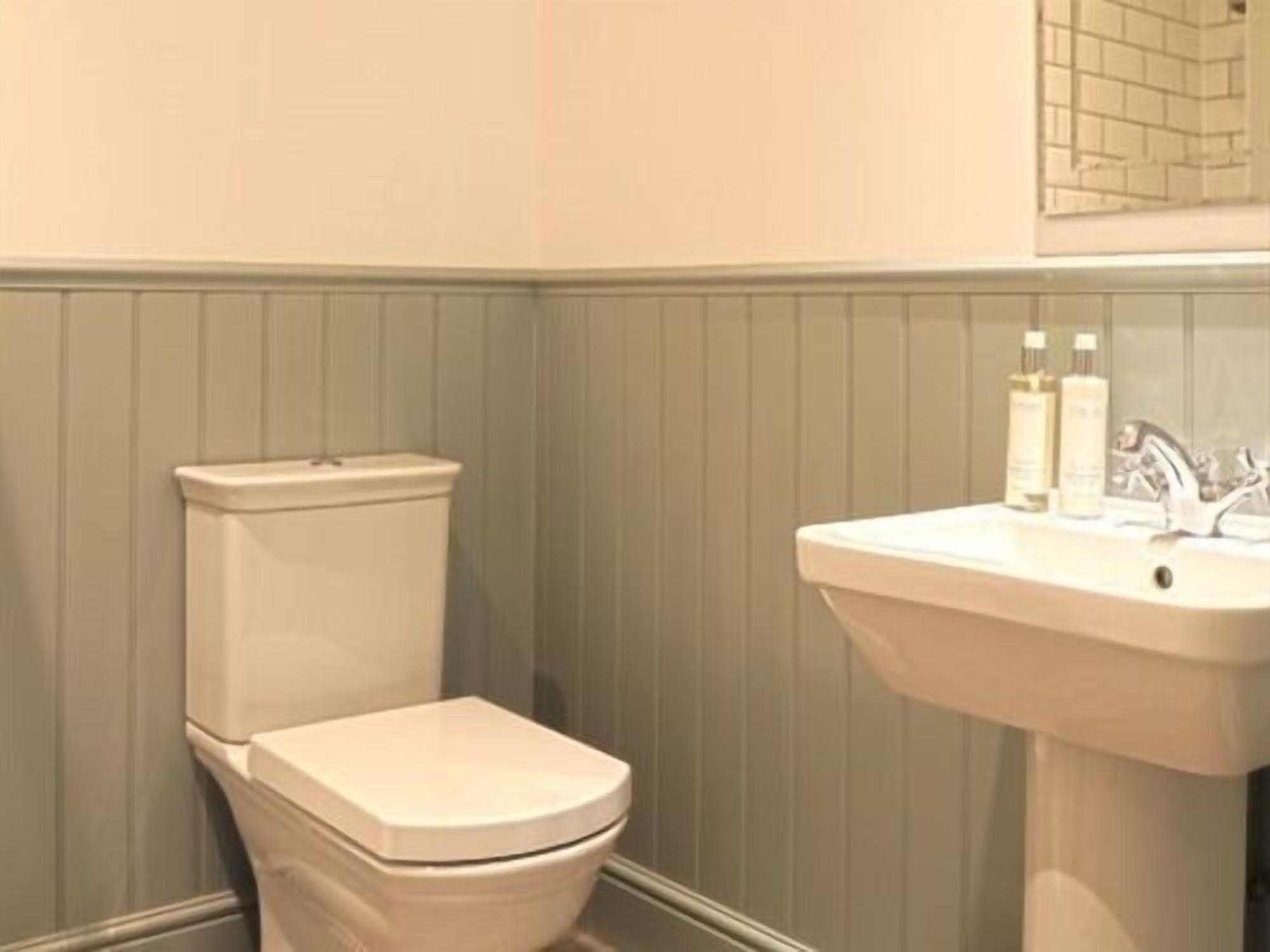A bathroom with a toilet and a sink.