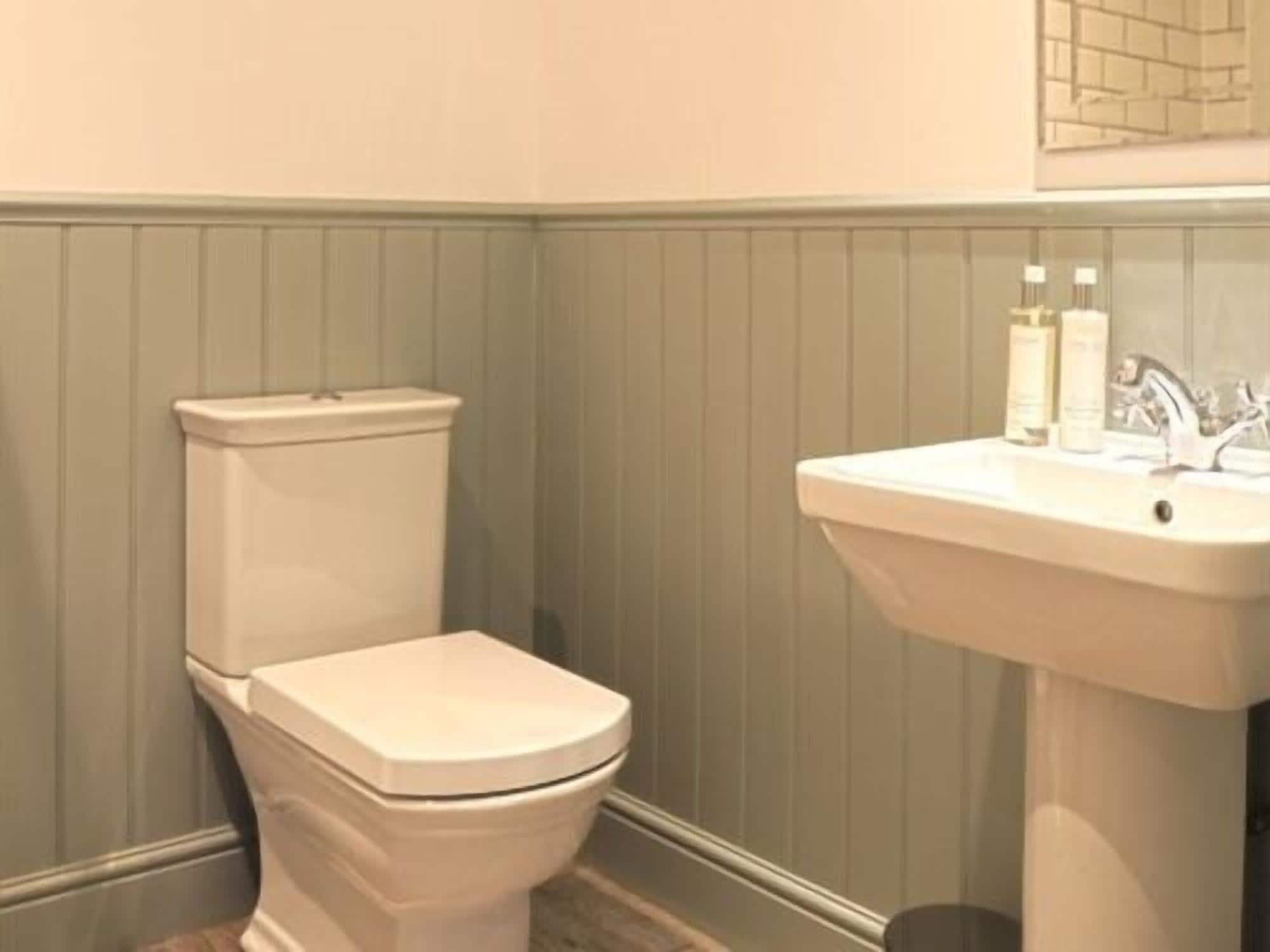 A bathroom with a toilet and a sink.