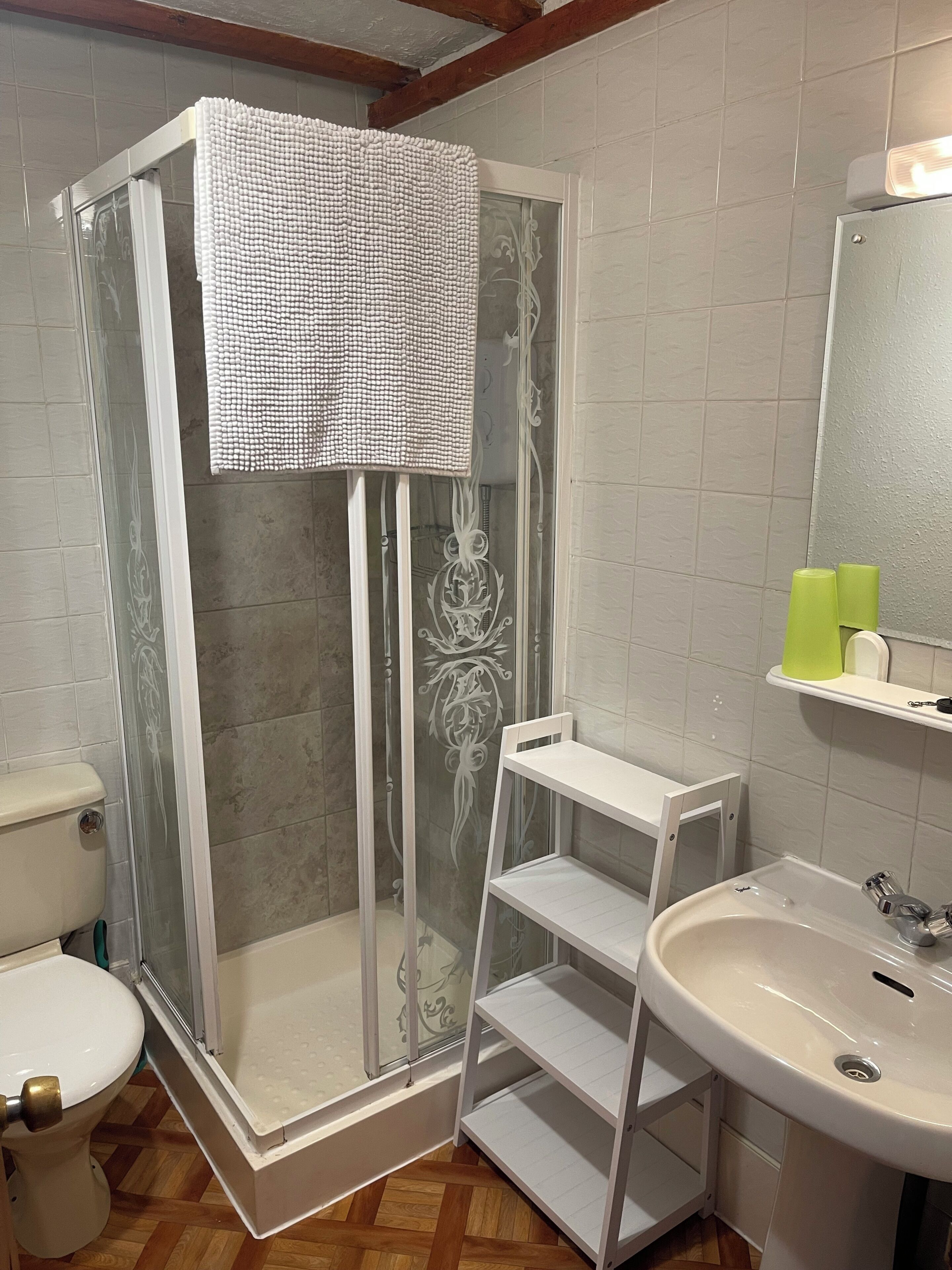 A shower enclosure with a glass door, a white toilet, a sink with a mirror, and a shelf with toiletries.