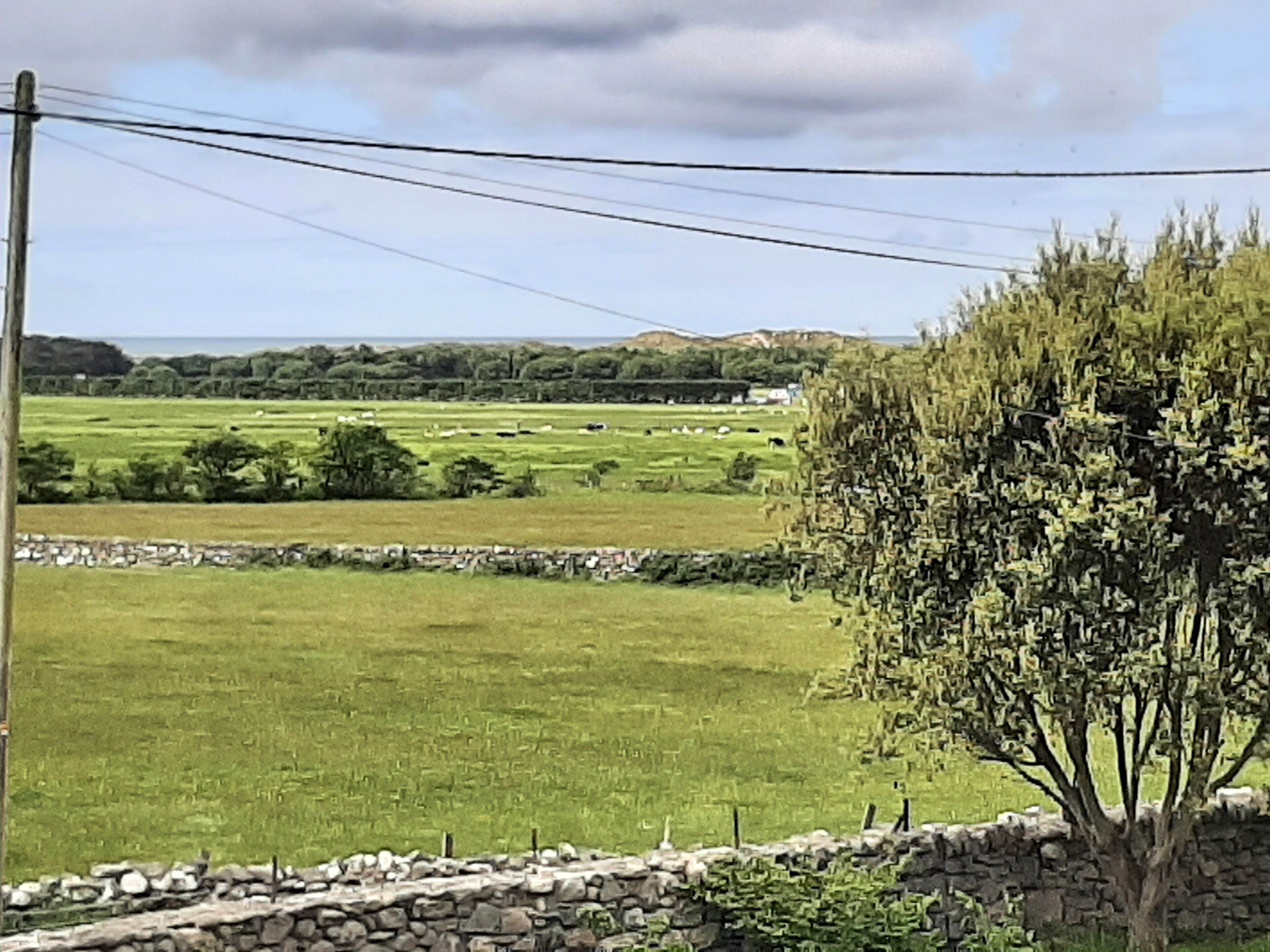 A rural landscape with a stone wall, a tree, and a distant view of fields and hills.