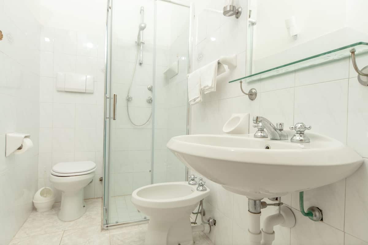 shower, free toiletries, hair dryer, bidet