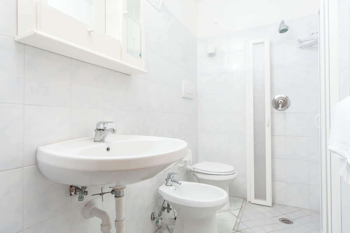 shower, free toiletries, hair dryer, bidet