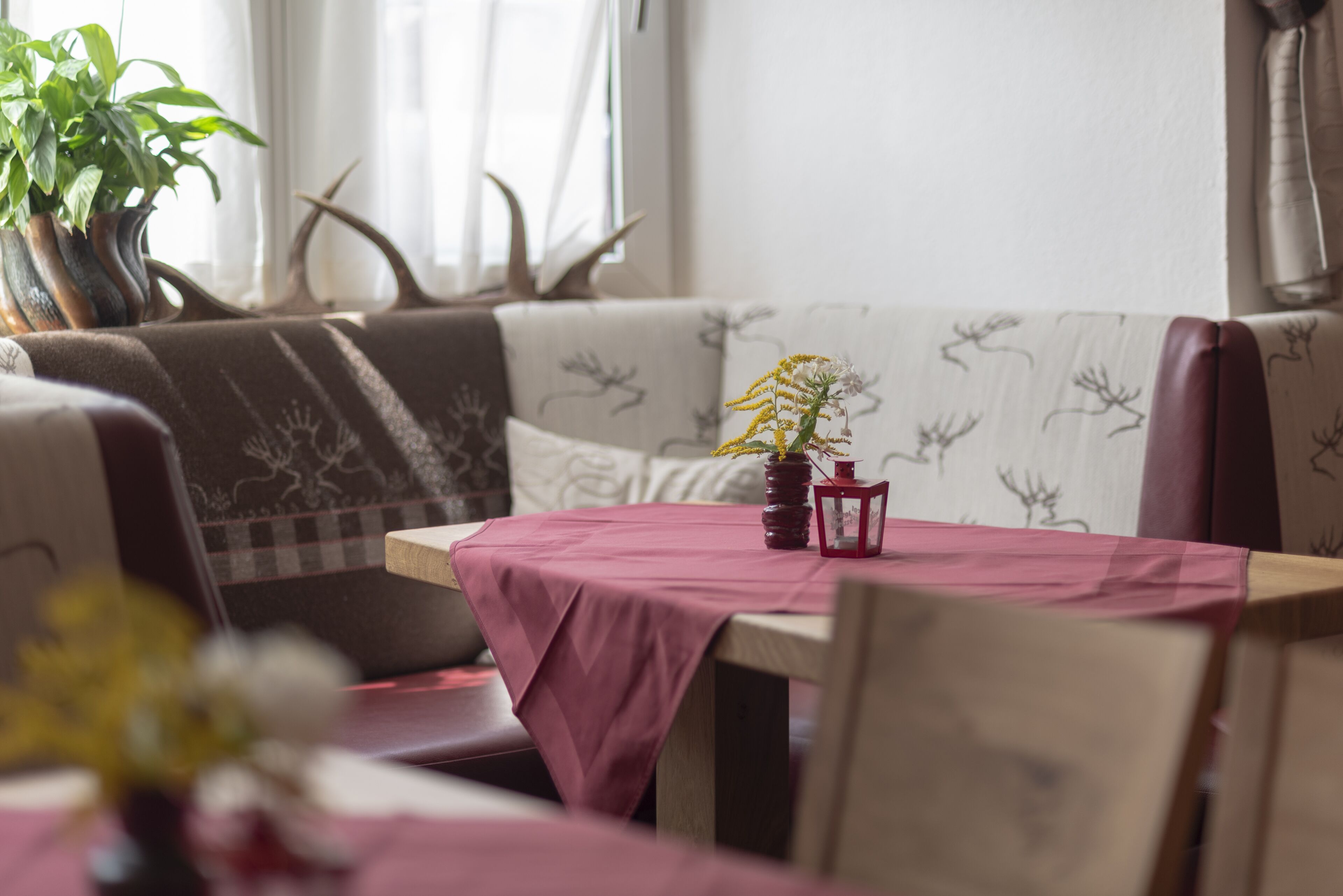 Ein Essbereich mit Tisch, der mit einer roten Tischdecke bedeckt ist, einer Vase mit Blumen und einer Topfpflanze.