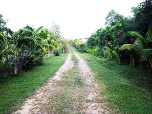 Exterior - Super Palm Resort (Belmopan)