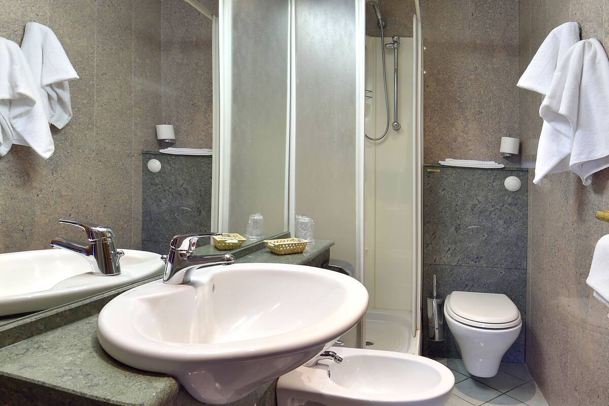 shower, free toiletries, hair dryer, bidet