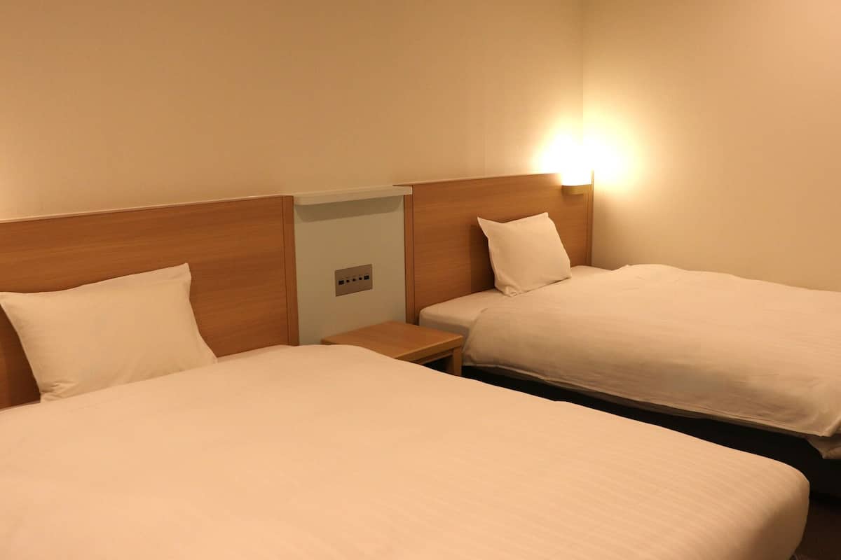 Habitación estándar con 2 camas individuales, no fumadores | 1 dormitorio, edredones de plumas, caja fuerte y escritorio