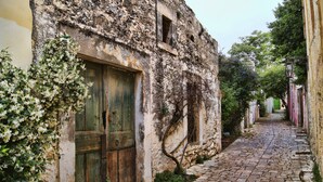 Une ruelle étroite pavée, bordée de vieux bâtiments aux murs patinés par le temps et à la porte verte.