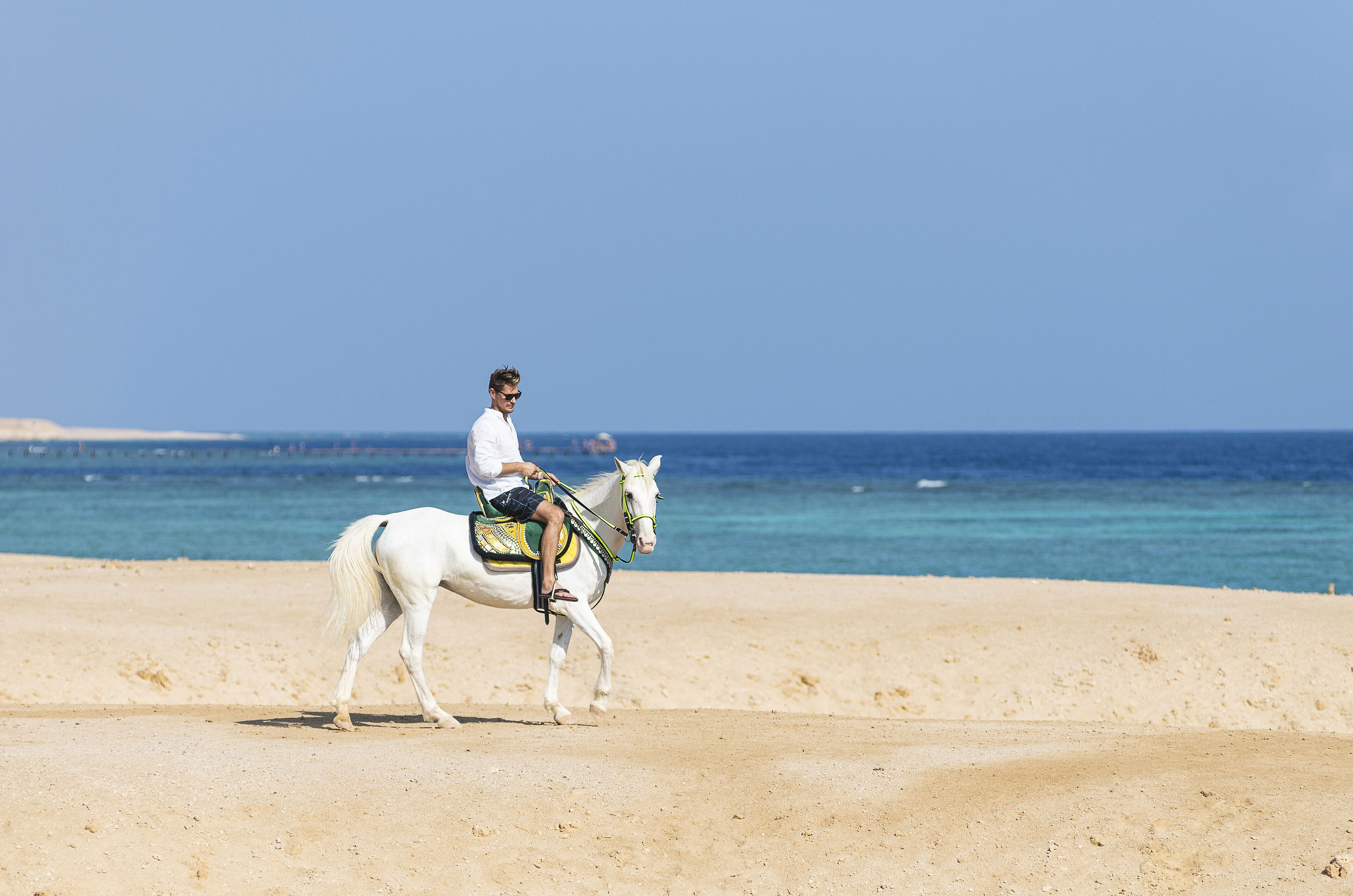 En person som rider på en vit häst på en sandstrand med havet i bakgrunden.