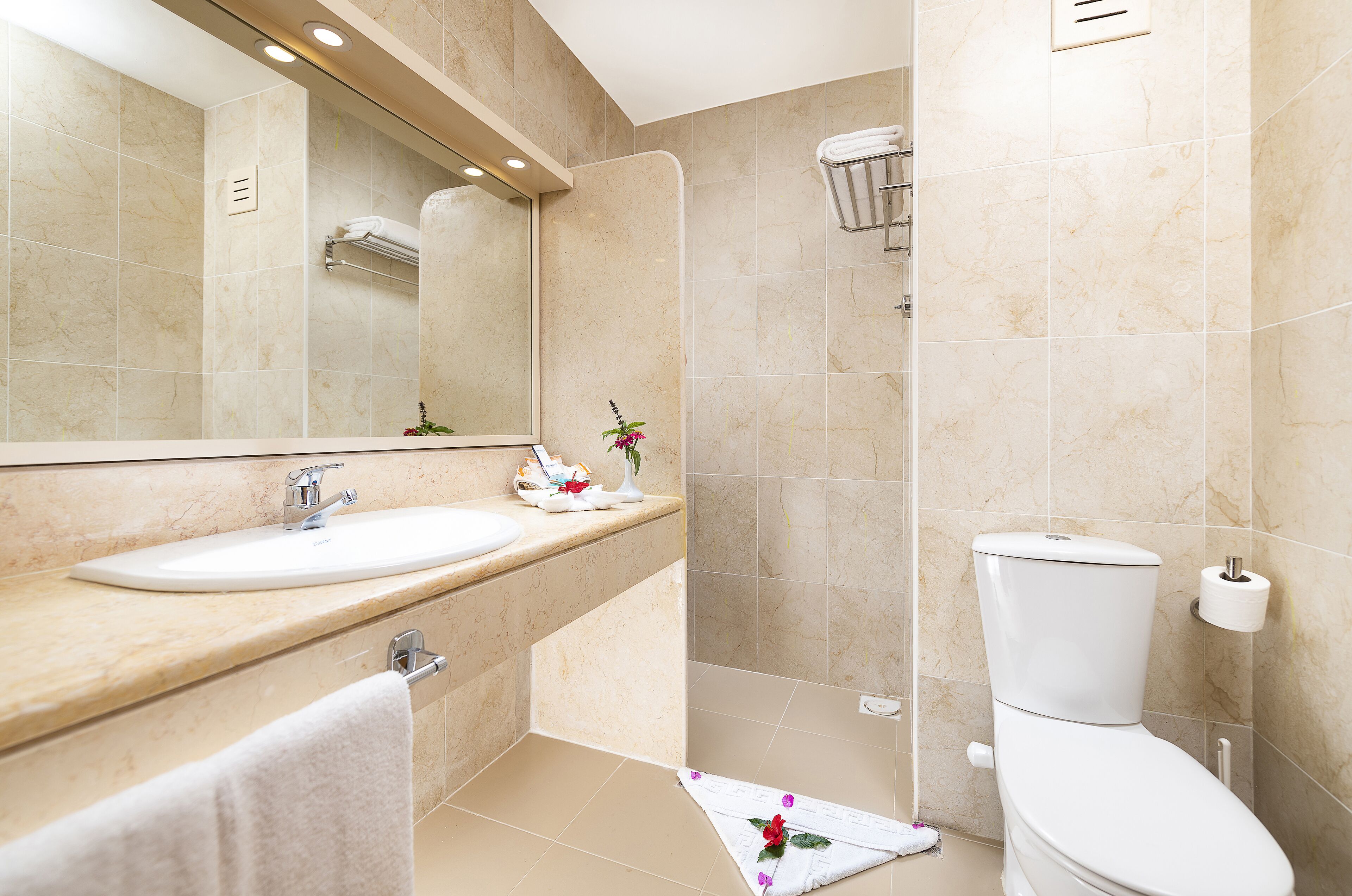 shower, free toiletries, hair dryer, towels