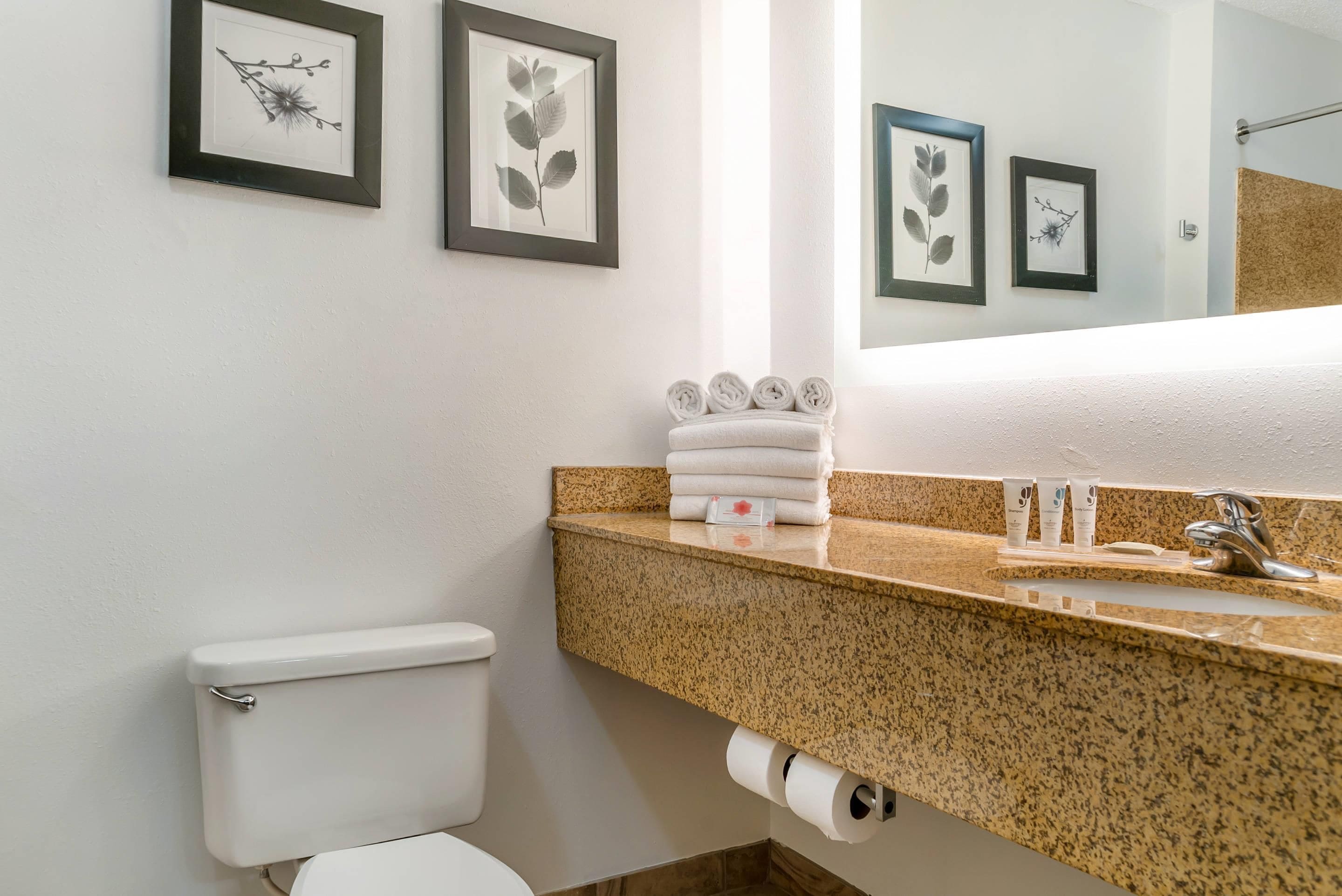 A bathroom with a toilet, sink, and framed botanical prints on the wall.