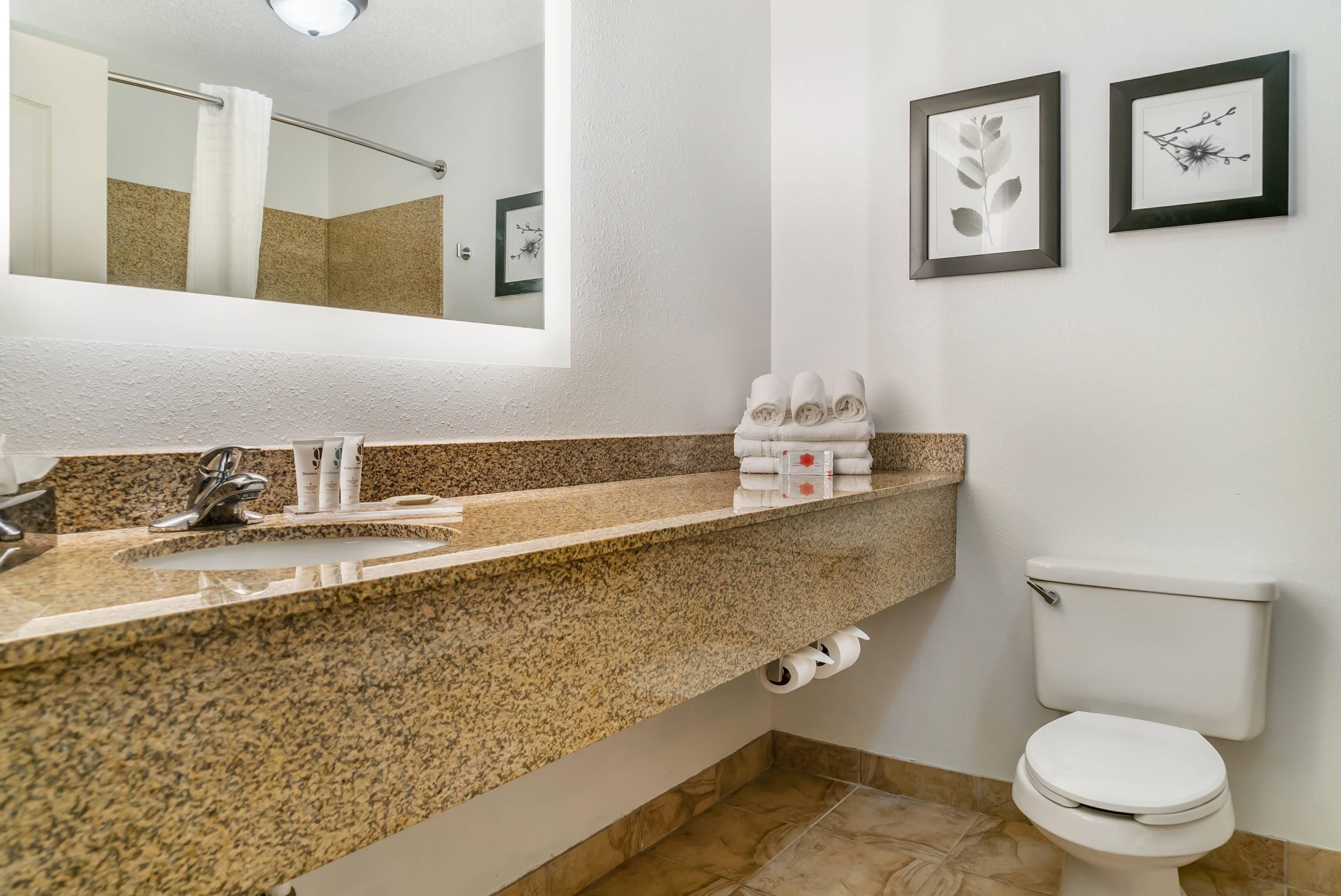 A bathroom with a granite countertop, a sink, a toilet, and framed artwork on the wall.