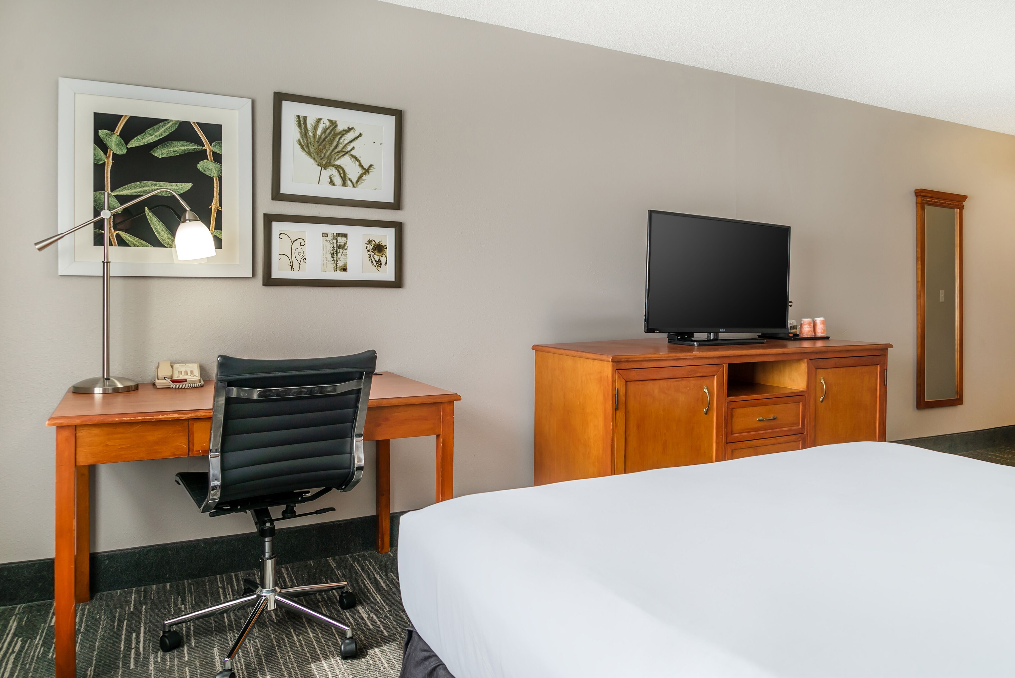 A hotel room with a bed, desk, chair, television, and framed botanical artwork on the wall.