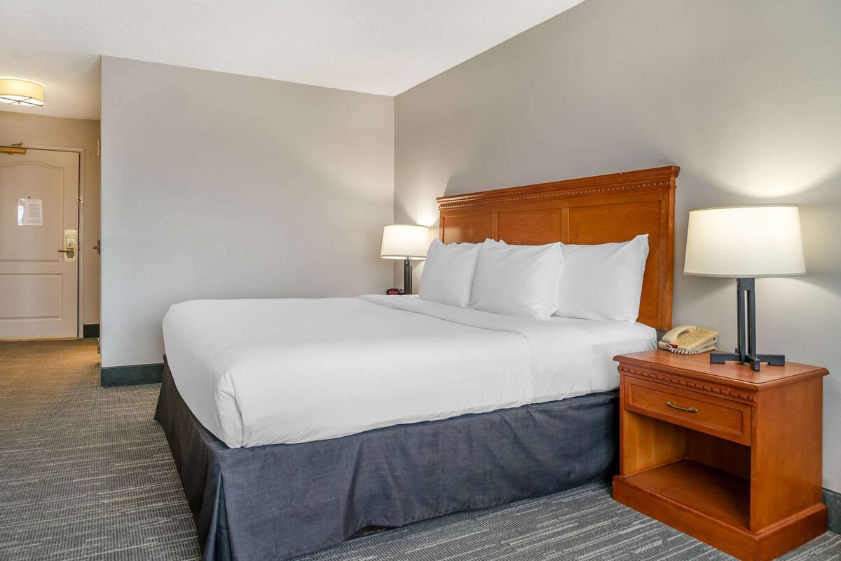A hotel room with a large bed, two bedside lamps, a nightstand with a phone, and a door with a light switch.